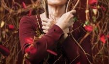 风中的花瓣在线观看,浪漫邂逅，命运交织的青春旋律